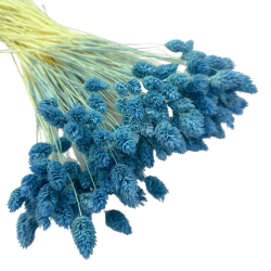 Getrocknete Blumen Kuchendekoration Dosen PHALARIS lime 25 Zweige