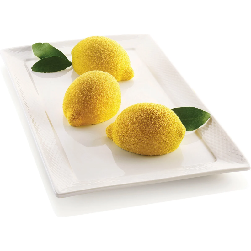 3D silicone mold Silikomart LEMON 6 slots monoportions