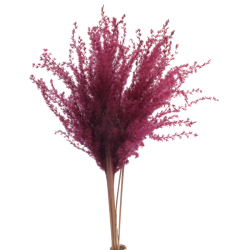 Dried flowers Cake decoration Tins LAGURUS light purple 35