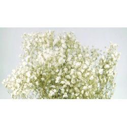 Getrocknete Blumen Tortendekoration Lametta rosa 3 Zweige
