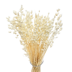 Dried flowers Cake decoration Dried STICK bleached 1/4 bunch