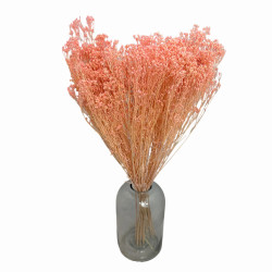 Sušené kvety Dekorácia na tortu BROOM BLOOM sušené ruže 1/5 zväzku