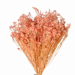 Sušené květiny Dekorace na dort Sušené květiny BROOM BLOOM růžová...