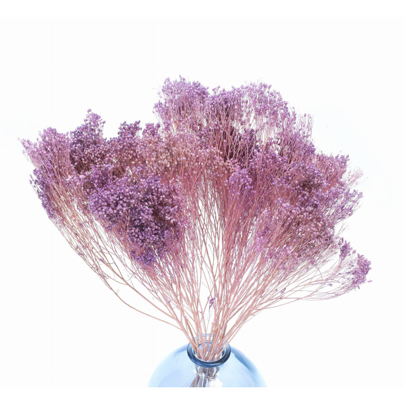 Sušené kvety Dekorácia na tortu Sušené kvety BROOM BLOOM fialová 1/5 zväzku