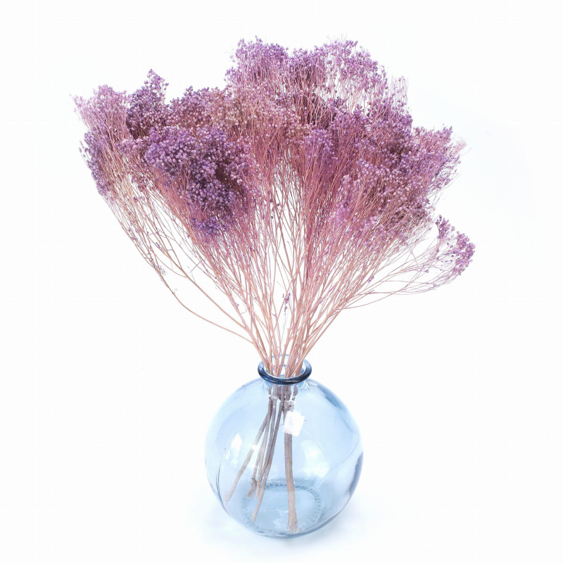 Szárított virágok Tortadísz Szárított virágok BROOM BLOOM lila 1/5 csokor