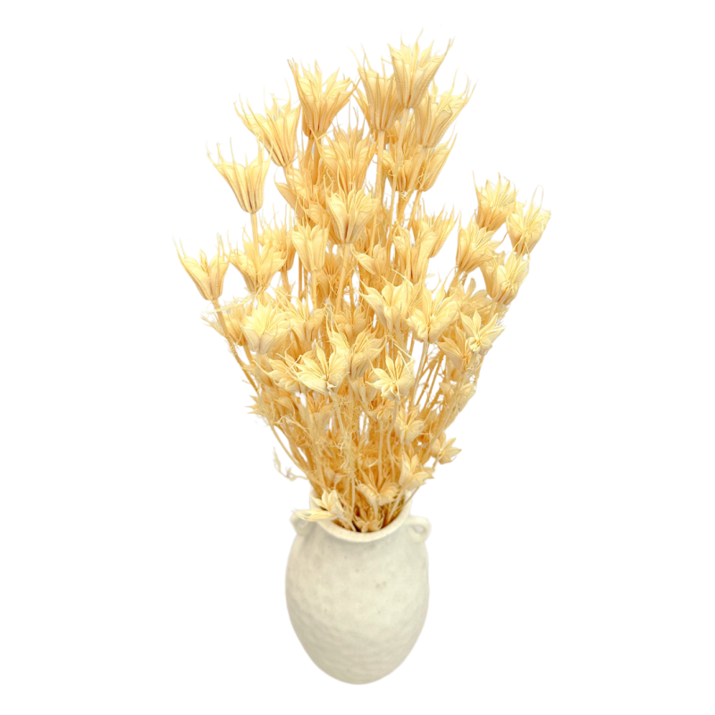 Dried flowers Cake decoration NIGELLA dried flowers, bleached, 1/4 bunch