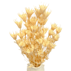 Dried flowers Cake decoration NIGELLA dried flowers, bleached, 1/4...