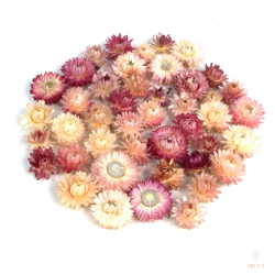 Getrocknete Blumen Tortendekoration Lametta-Blume 1 St.