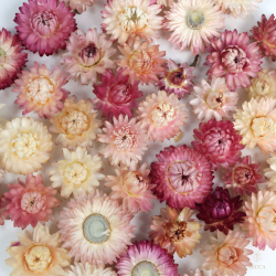 Getrocknete Blumen Tortendekoration Lametta-Blume 1 St.