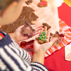 Set of 6 Christmas molds
