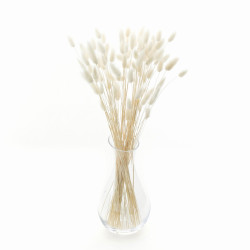 Suszone kwiaty Ozdoba na tort Suszki Lagurus bielony 20 gałązek