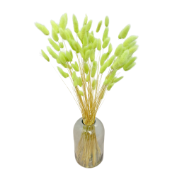 Dried flowers Cake decoration Dried LAGURUS pistachio 20 branches