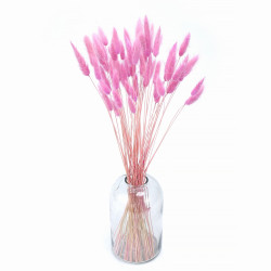 Dried flowers Cake decoration Tins LAGURUS dark pink 35 sprigs