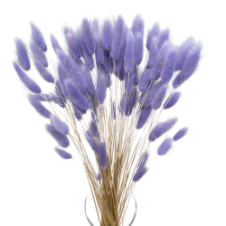 Getrocknete Blüten LAGURUS Kuchendekoration, hellviolett, 20 Zweige