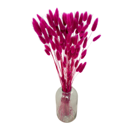 Getrocknete Blumen Kuchendekoration Dosen LAGURUS hell lila 35 Getrocknete Blumen Kuchendekoration Dosen LAGURUS hell lila 35