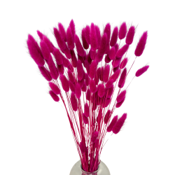 Dried flowers Cake decoration Tins LAGURUS light purple 35