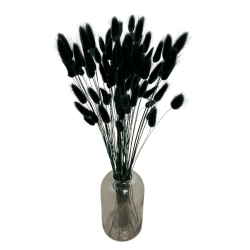 Suszone kwiaty Ozdoba na tort Suszki Lagurus czarny 20 gałązek