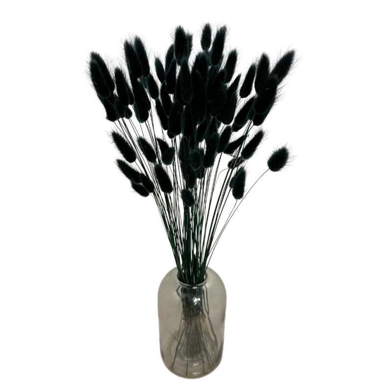 Suszone kwiaty Ozdoba na tort Suszki Lagurus czarny 20 gałązek