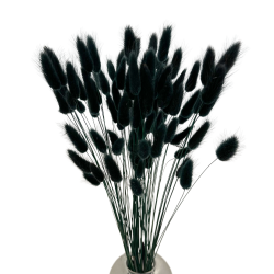Suszone kwiaty Ozdoba na tort Suszki Lagurus czarny 20 gałązek