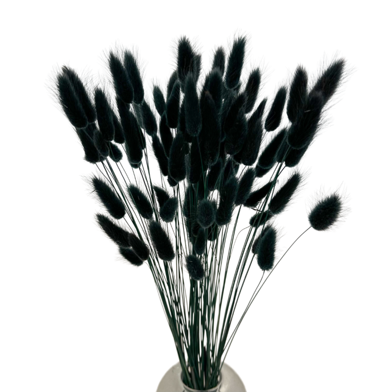 Suszone kwiaty Ozdoba na tort Suszki Lagurus czarny 20 gałązek