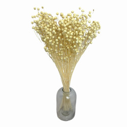 Getrocknete Blumen Kuchendekoration Lametta gebleicht Flachs 10