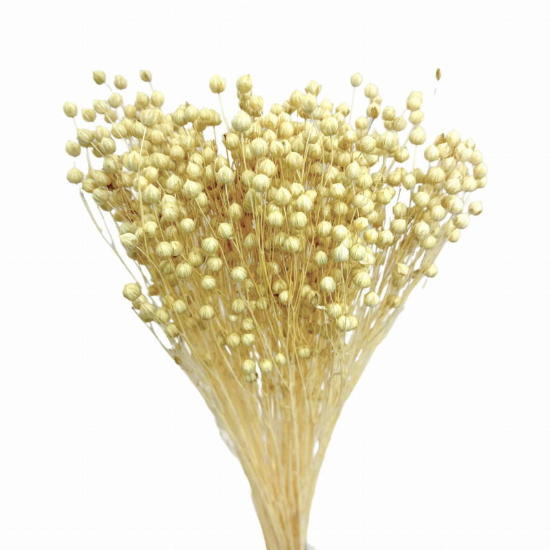 Getrocknete Blumen Kuchendekoration Lametta gebleicht Flachs 10