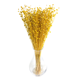 Dried flowers Cake decoration Dried LINEN yellow 10 branches