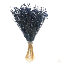 Dried flowers Cake decoration Tinsel Flax navy blue 10 sprigs