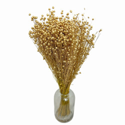 Getrocknete Blumen Kuchendekoration Dosen LEN gold 10 Zweige Getrocknete Blumen Kuchendekoration Dosen LEN gold 10 Zweige