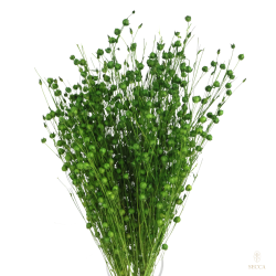 Dried flowers Cake decoration Dried LINEN green 10 branches
