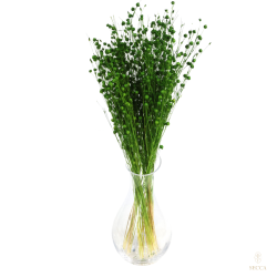 Suszone kwiaty Ozdoba na tort Suszki LEN zielony 10 gałązek