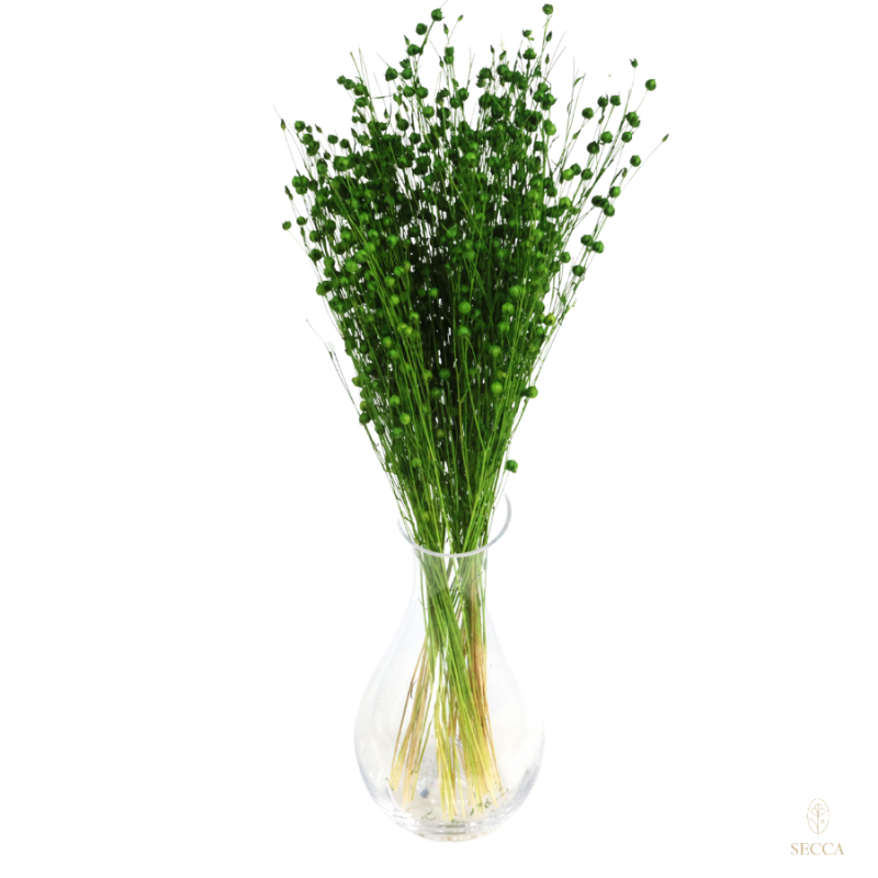 Suszone kwiaty Ozdoba na tort Suszki LEN zielony 10 gałązek