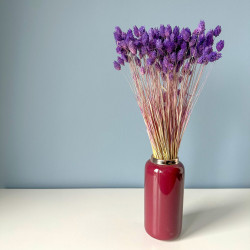 Getrocknete Blumen Kuchendekoration Dosen PHALARIS lila 25 Zweige