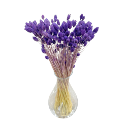 Getrocknete Blumen Kuchendekoration Dosen PHALARIS lila 25 Zweige