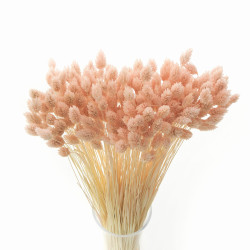 Suszone kwiaty Ozdoba na tort Suszki Phalaris jasnoróżowy 25 gałązek