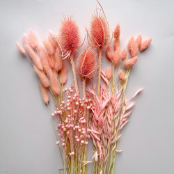 Sušené květiny Dekorace na dort Sušené květiny PHALARIS světle růžová 25 větví