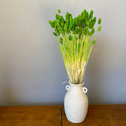 Suszone kwiaty Ozdoba na tort Suszki Phalaris zielony 25 gałązek