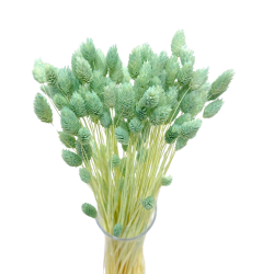 Dried flowers Cake decoration Dried PHALARIS mint 25 branches
