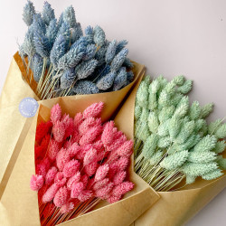 Suszone kwiaty Ozdoba na tort Suszki PHALARIS miętowy 25 gałązek