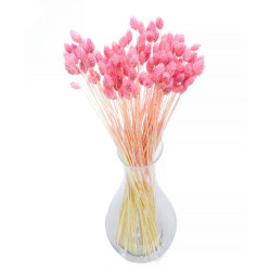 Suszone kwiaty Ozdoba na tort Suszki PHALARIS różowy 25 gałązek