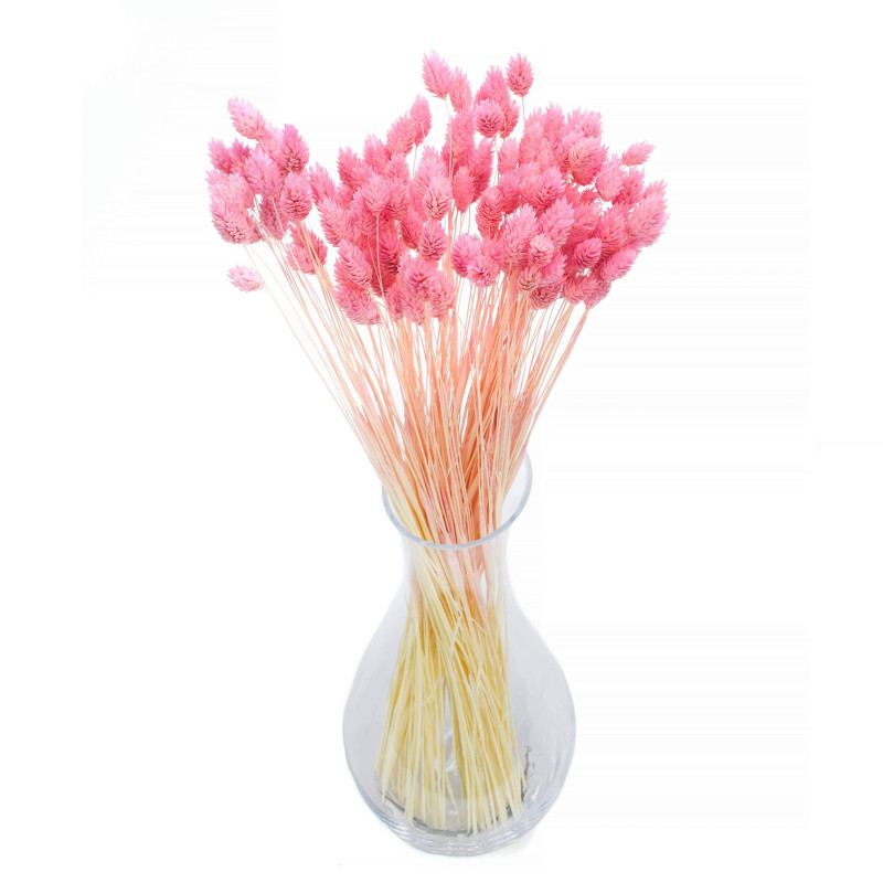 Suszone kwiaty Ozdoba na tort Suszki PHALARIS różowy 25 gałązek