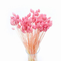 Getrocknete Blumen Tinsel Tortendekoration PHALARIS rosa 25