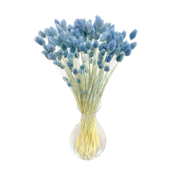 Suszone kwiaty Ozdoba na tort Suszki PHALARIS niebieski denim 25 gałązek