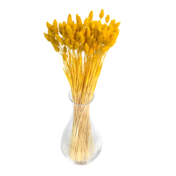 Dried flowers Cake decoration Dried flowers PHALARIS yellow 25 twigs