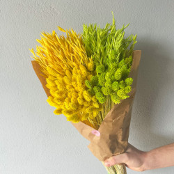 Getrocknete Blumen Kuchendekoration Dosen PHALARIS gelb 25 Zweige