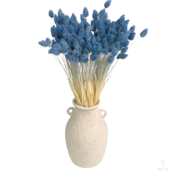 Getrocknete Blumen Kuchendekoration Dosen PHALARIS lime 25 Zweige