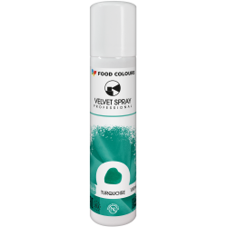 FC TURQUOISE spray suede 100ml