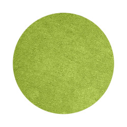 FC LIME SUEDE sprej 100ml