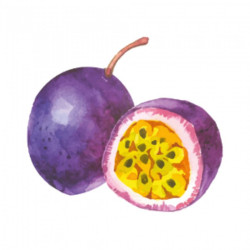 Aromat FF CYTRYNOWY 10 ml bez cukru bez tłuszczu