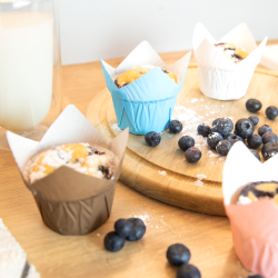 PME Lemon tulip cups 24 pcs